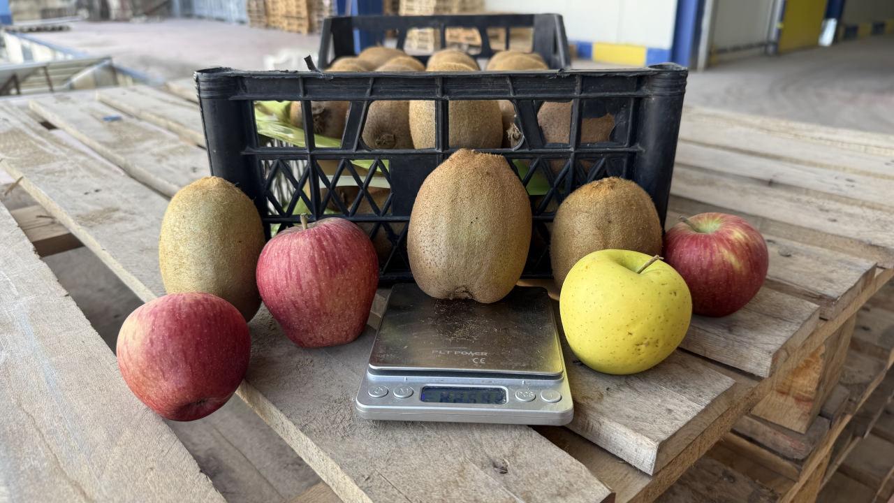 Grip salgını talebi patlattı