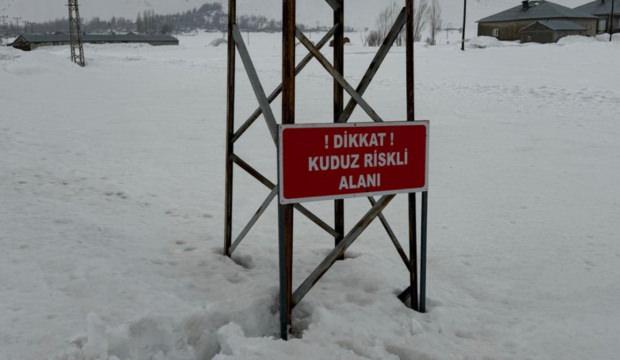 Hakkari'de bir eşekte kuduz tespit edildi! K&ouml;y karantinaya alındı
