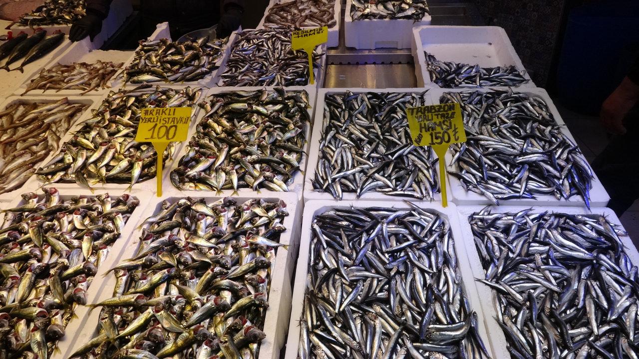 Balıkçı tezgahlarında aylar sonra sürpriz