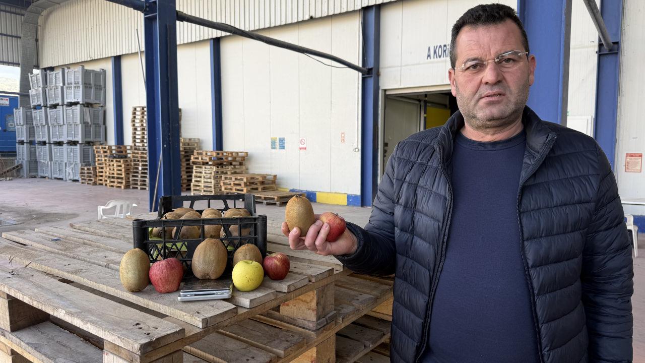 Grip salgını talebi patlattı