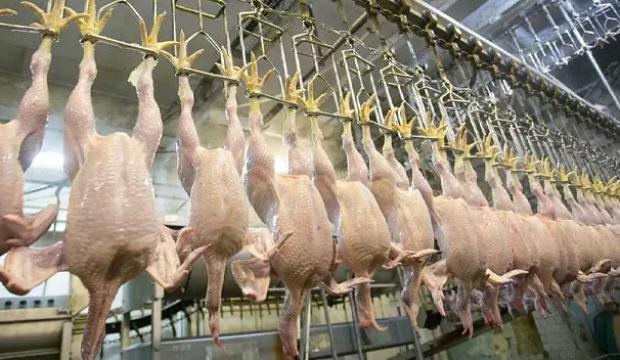 SON DAKİKA: Tavuk ihracatı durduruldu!