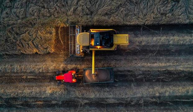 Son yağışlar buğdayda rekor &uuml;retim beklentisini b&uuml;y&uuml;tt&uuml;