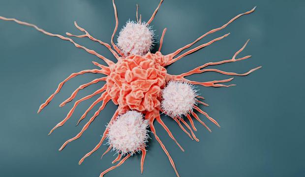 Kansere yol a&ccedil;tığı ortaya &ccedil;ıktı! T&uuml;ketmeden &ouml;nce 1 kez daha d&uuml;ş&uuml;n&uuml;n