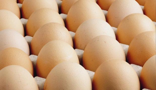 Kişi başına d&uuml;şen yumurta &uuml;retimi 15 adet azaldı