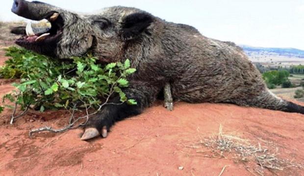 Samsun&rsquo;da avlanma pulundan elde edilen gelir dudak u&ccedil;uklattı 