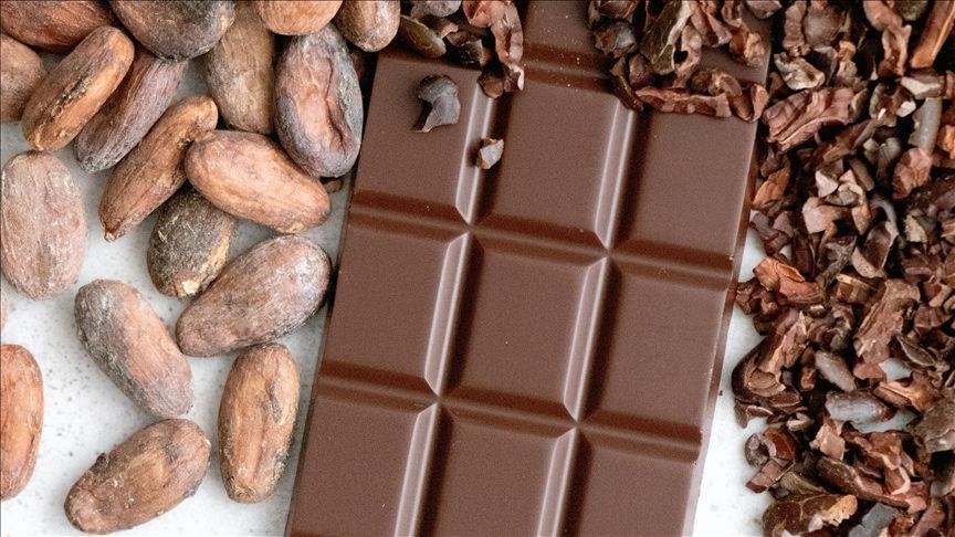 Türkiye yetiştirmediği kakaodan 1,7 milyar dolar kazandı