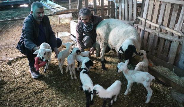 Denizli'de besiciler g&ouml;rd&uuml;ğ&uuml; manzara karşısında sevin&ccedil;ten havalara u&ccedil;tu! 