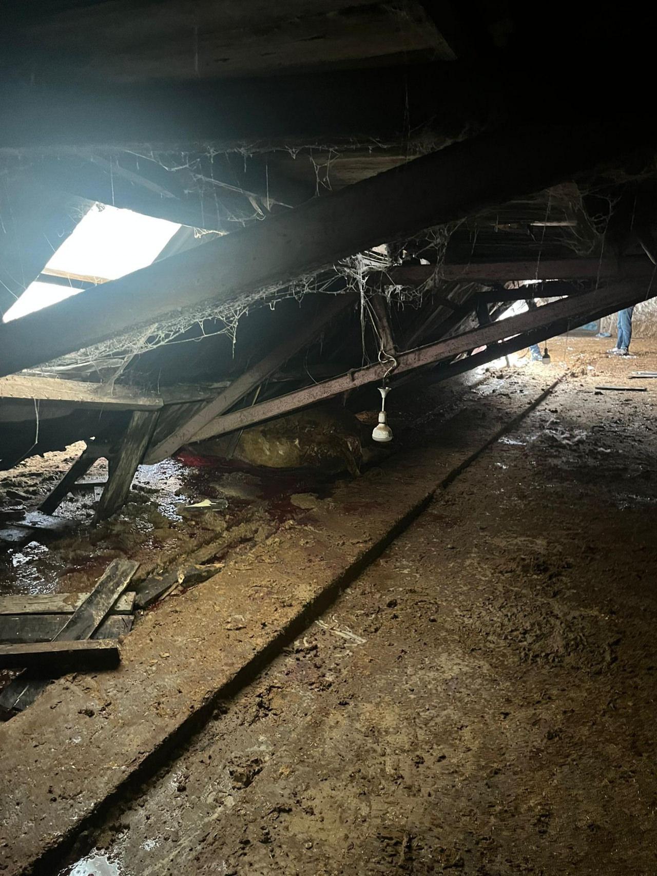 Çatısında kar biriken 2 ahır çöktü; 4 büyükbaş hayvan öldü.