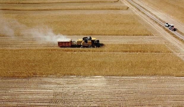 &Ccedil;ift&ccedil;ilere 149,6 milyon liralık tarımsal destekleme &ouml;demesi bug&uuml;n yapılıyor