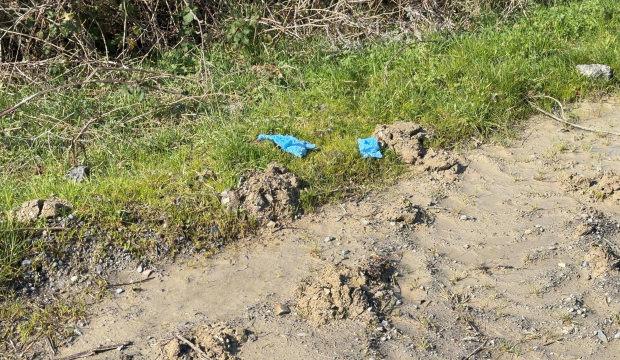 İstanbul'da korkun&ccedil; cinayet: &Ccedil;inli adam elleri ve ayakları bağlı olarak &ouml;l&uuml; bulundu