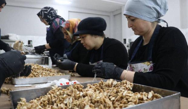 KOSGEB, 53 bin KOBİ'ye destek verecek