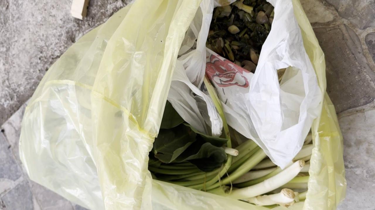 Pazı olarak aldığım ot, zehirli tirşik otu çıktI.