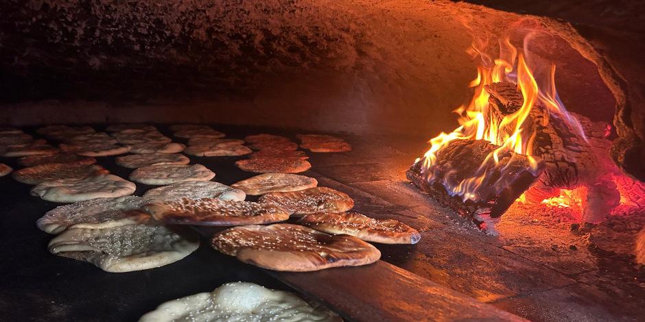 Ramazan ayında uzun s&uuml;re tok tutuyor: Van &ccedil;&ouml;reği