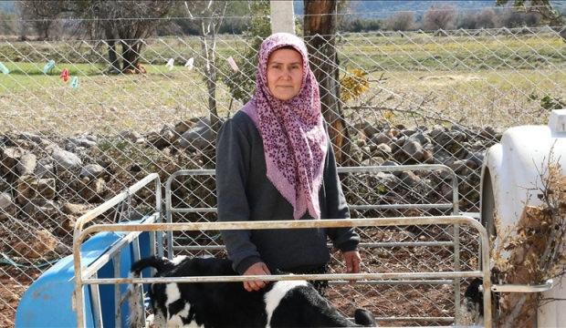 Denizli'de kadın girişimci devlet desteğiyle hayal ettiği &ccedil;iftliği kurdu