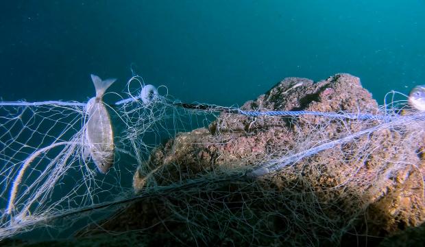Mavi İz projesiyle deniz kirliliğine sanat dokunuşu