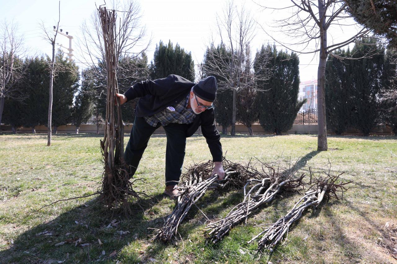 Fidanlar, çiftçiye ulaştırıldı.