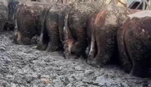 Konya'da sosyal medyada g&uuml;ndem olan g&ouml;r&uuml;nt&uuml;! İnceleme başlatıldı