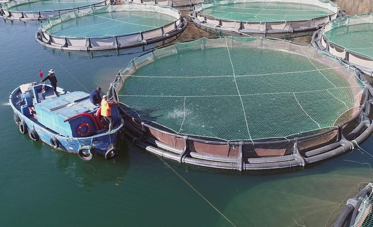 'Ege'de ihracatın 'yükselen yıldızı': Herkes düşerken bir il başardı