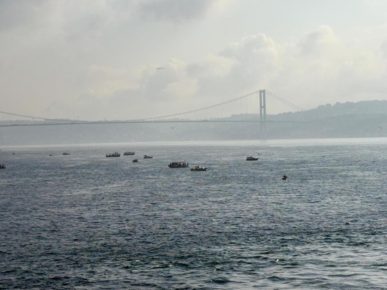 Boğaz gemi trafiği