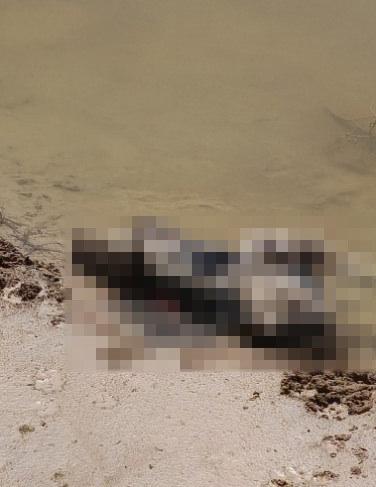 Ayşe Kutluay'ın (84) cansız bedeni bulundu.