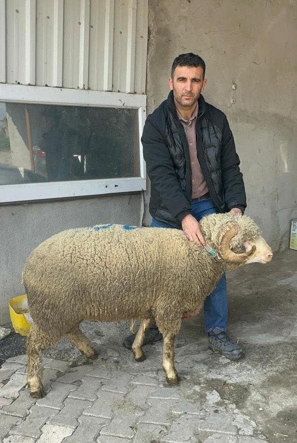 Emre Sömer ve damızlık koçu