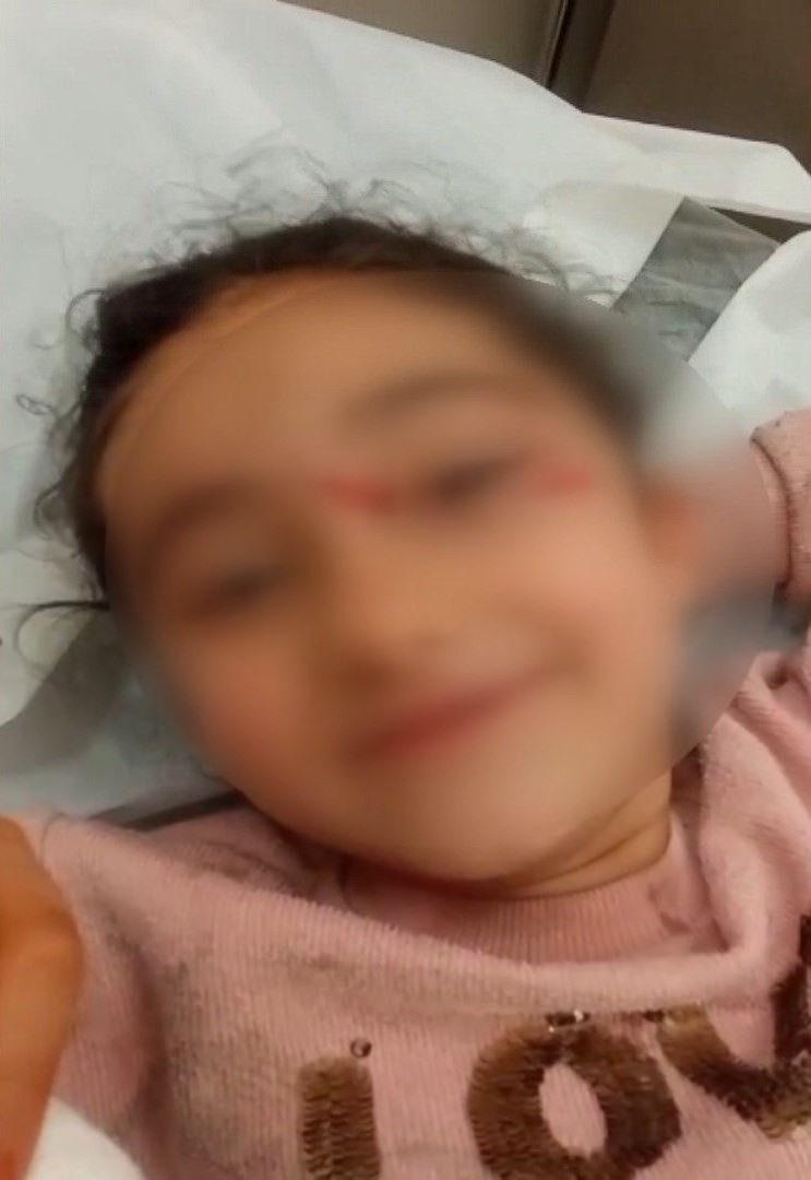 Şirin Alsuleiman (6)