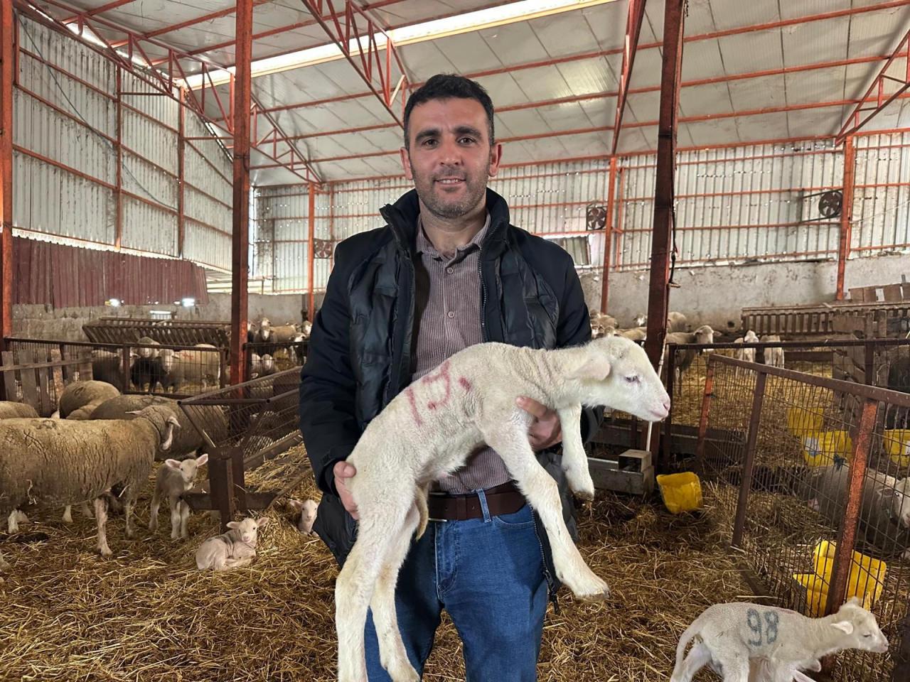 150 kişi doğmamış kuzular için talep oluşturdu. 