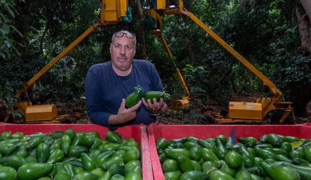 Gasp edilen topraklarda &ccedil;ift&ccedil;ilik yapıyordu: Yanarak &ouml;ld&uuml;