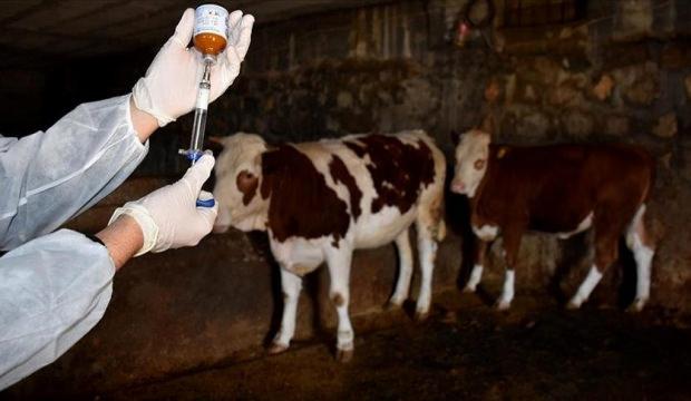 K&uuml;tahya'da alarm: 15 k&ouml;y karantinaya alındı!