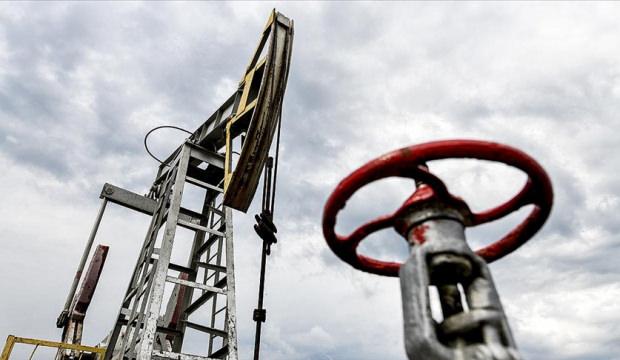 Rusya: Enerji kaynaklarını &ouml;ncelikle en yakın komşularımıza tedarik edeceğiz