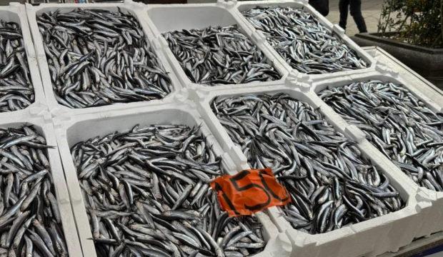 Tezgahlarda son g&uuml;nleri: Kilosu 150 lira