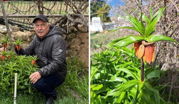 G&uuml;zelliğiyle b&uuml;y&uuml;l&uuml;yor ama dokunması bile yasak! Koparan 700 bin TL &ouml;deyecek...