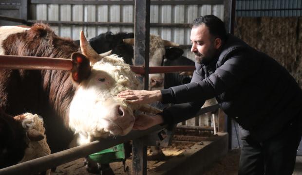 Kurbanlıkta erken rezervasyon d&ouml;nemi: &Ccedil;iftliklerde hareketlilik başladı