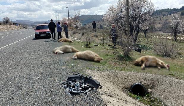 Otomobil koyun s&uuml;r&uuml;s&uuml;ne daldı: 9 koyun telef oldu 
