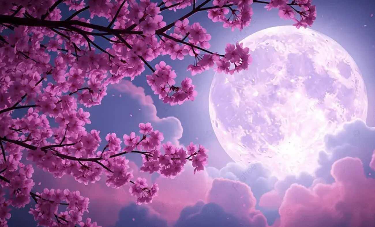 Pembe Dolunay ne zaman g&ouml;r&uuml;lecek?