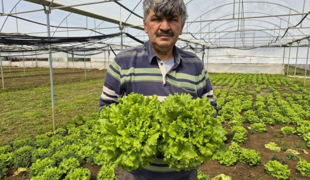 Tarlada 15, tezgahta 100 TL! Fiyatlardaki aracı" vurgununa isyan