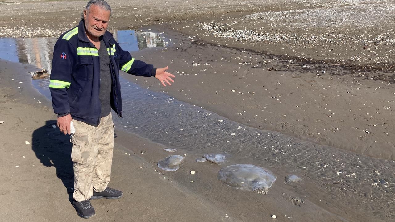 Bölgedeki balıkçılar konuya ilişkin açıklama yaptı.