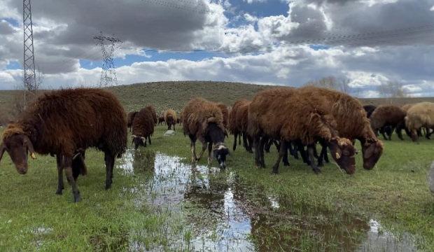 120 bin lira maaş veriliyor, ama kimse kabul etmiyor!