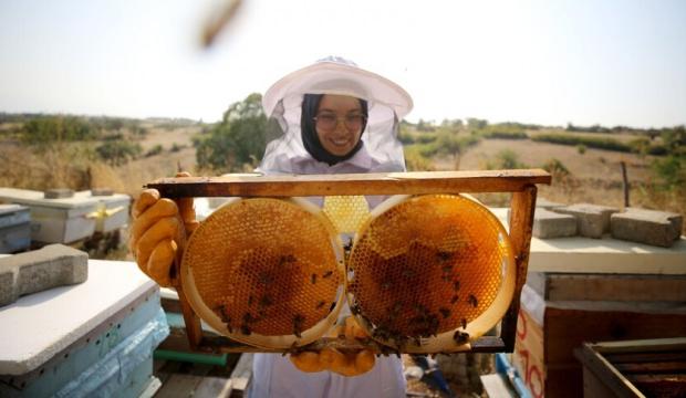 T&uuml;rk balı 31 &uuml;lkenin sofrasında