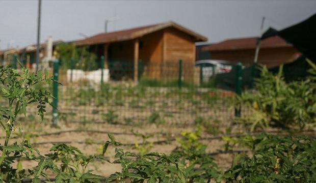 Uğraşı (hobi) bah&ccedil;eleri