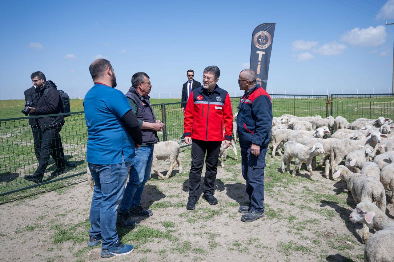Bakan Yumaklı müjdeyi verdi: 100 küçükbaş hayvan ve aylık 15 bin TL destek!