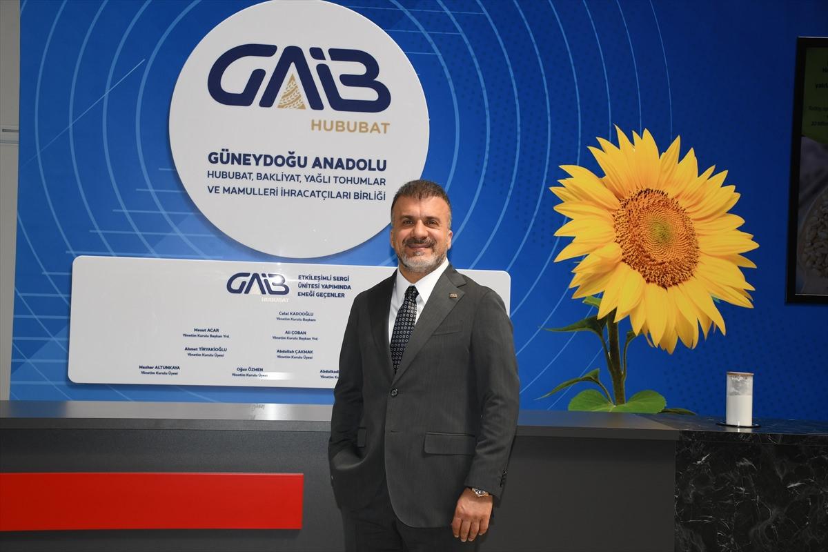 Güneydoğu Anadolu'dan 871 milyon dolarlık hububat ihracatı