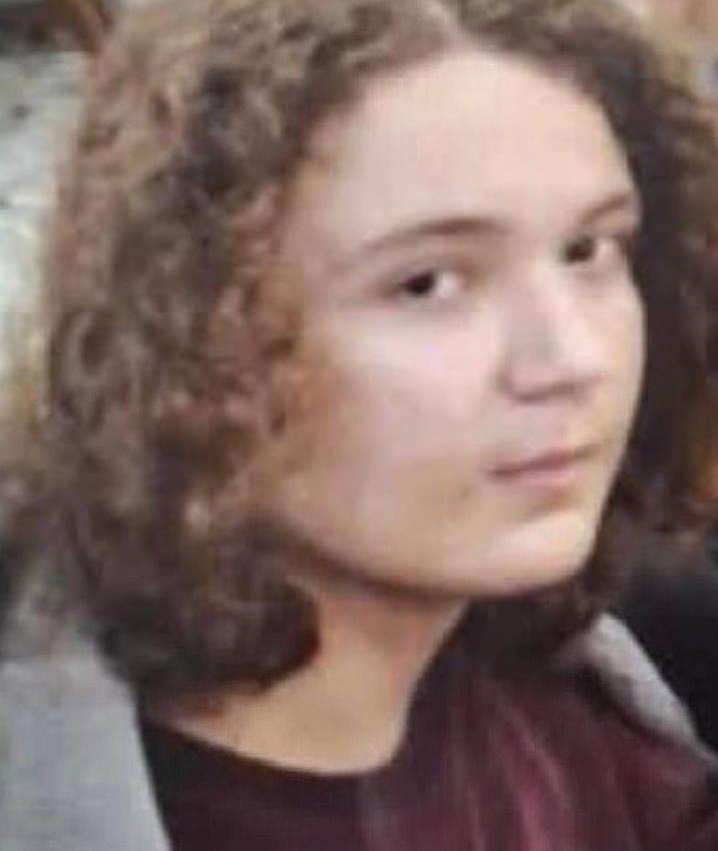 Saldırgan İsa Aras Mersinli