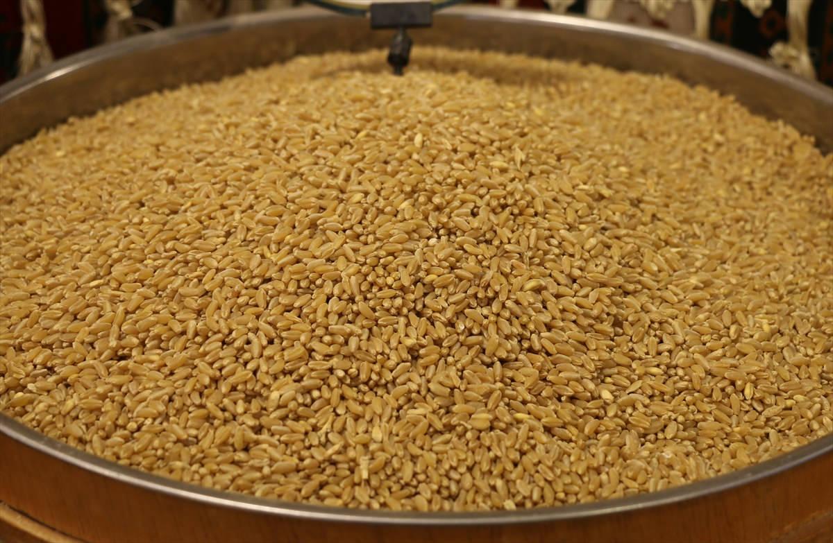 Güneydoğu Anadolu'dan 871 milyon dolarlık hububat ihracatı