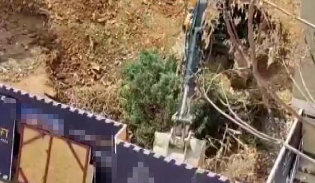  &Uuml;sk&uuml;dar Belediyesi'nin ruhsat verdiği inşaat alanında ağa&ccedil;lar kesildi