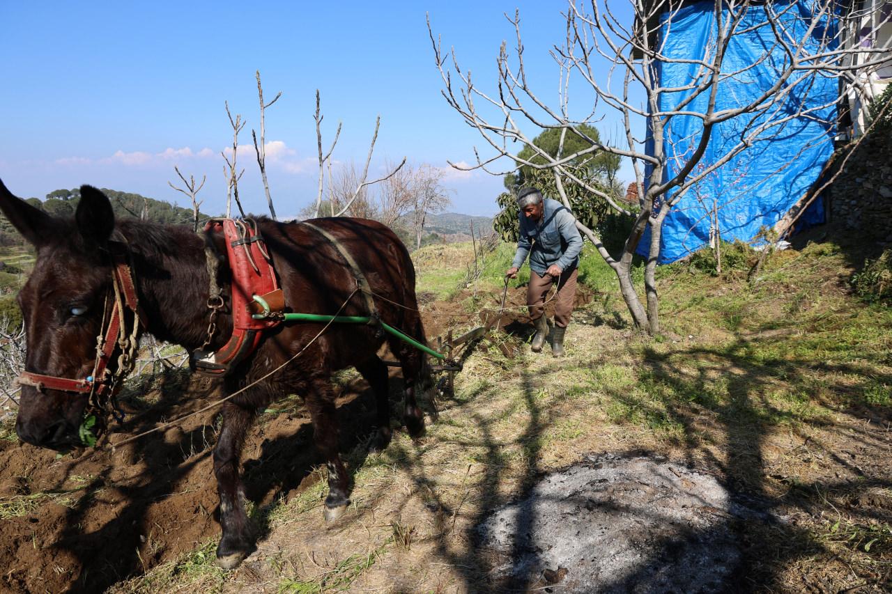 Köyün en genci 50 yaşında. 