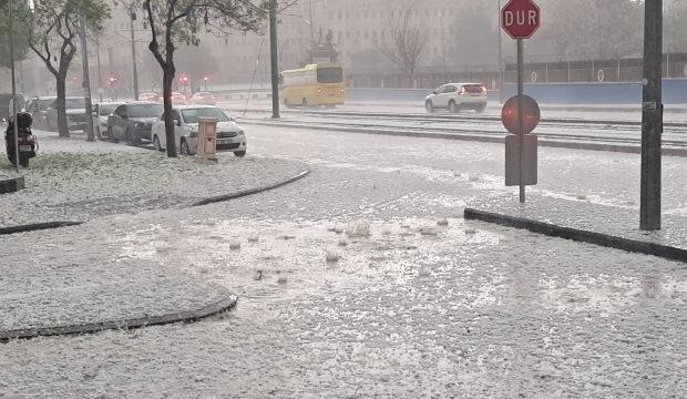Ceviz b&uuml;y&uuml;kl&uuml;ğ&uuml;nde dolu! Dakikalar i&ccedil;inde hayat durdu