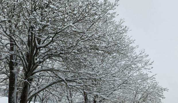 Nisan sonunda Uludağ&rsquo;da kış geri d&ouml;nd&uuml;