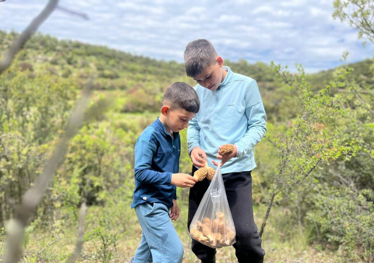  Ali Bozdağ, Osman Demirtaş ve Adil Poyraz