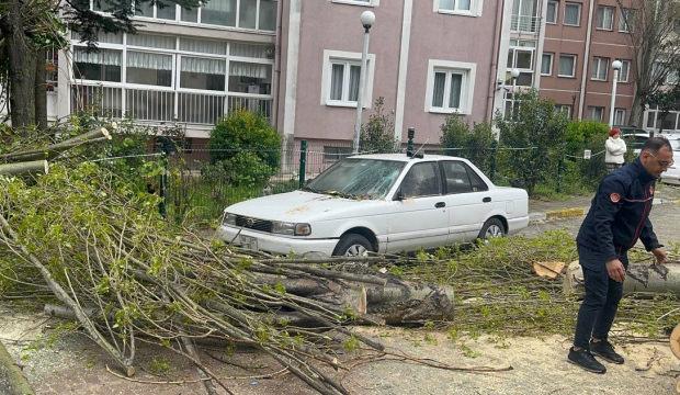 İstanbul'da fırtına alarmı! Otomobilin &uuml;st&uuml;ne ağa&ccedil; devrildi